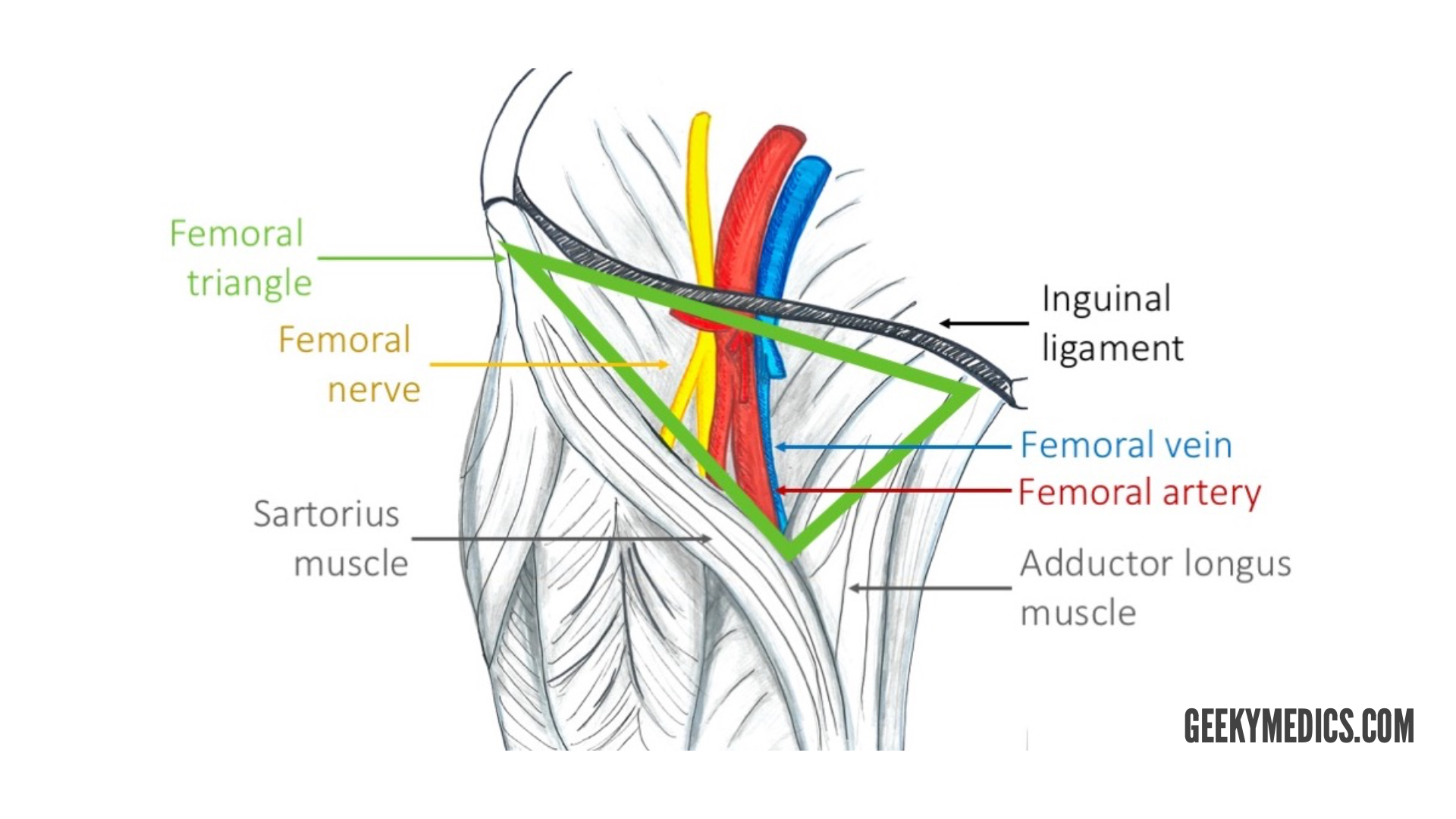 Ligament inguinal passage