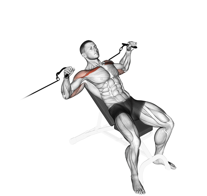 Exercices pect.et triceps en mvt